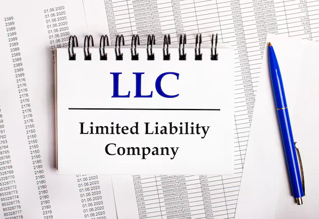 Is an LLC a business license