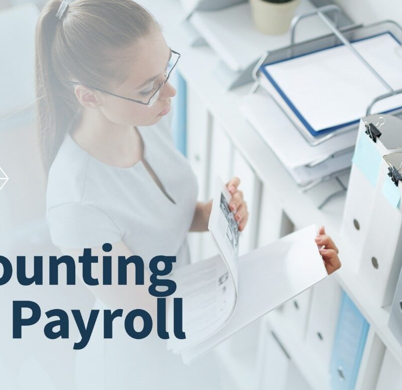accounting and payroll serviceszl