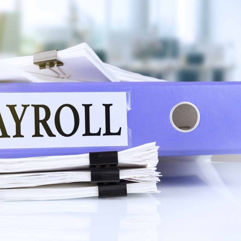 how do payroll services work