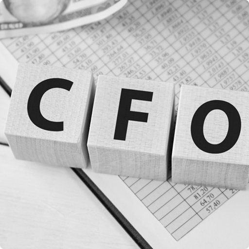 Hire Fractional CFO services Houston TX