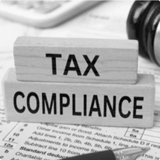 Houston TX tax compliance services